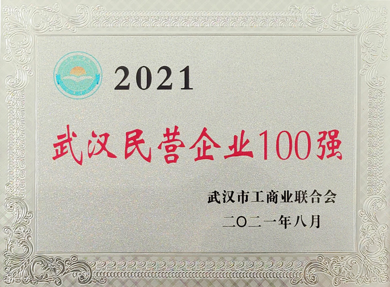  2021武漢民營企業100強